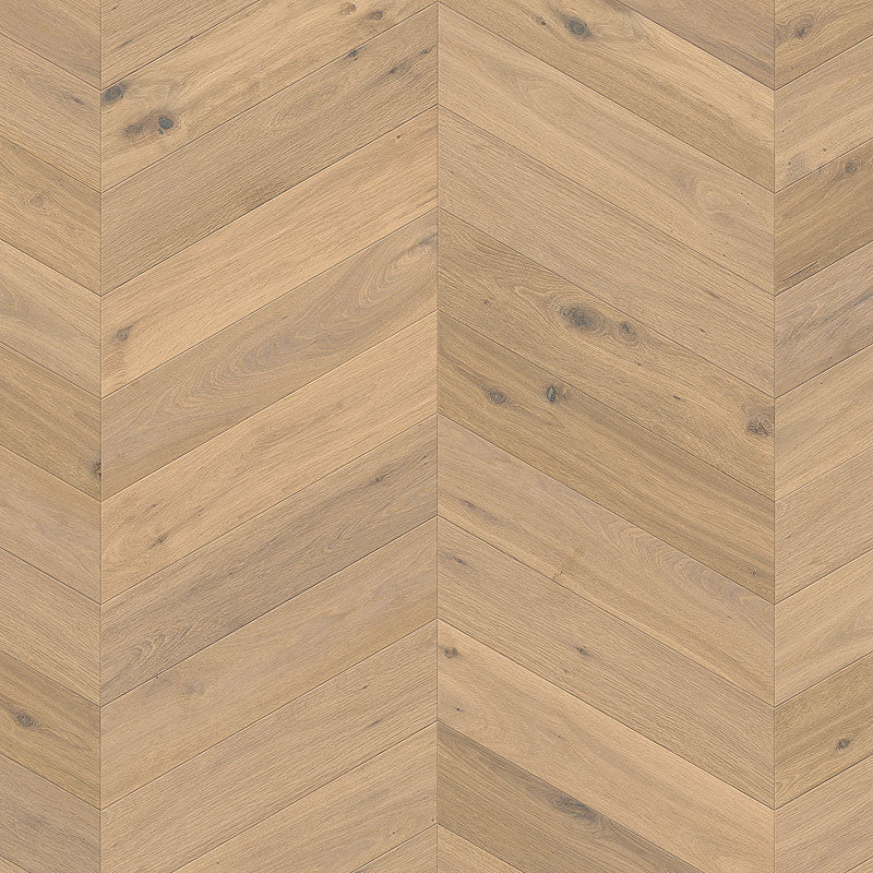 Cosmopolitan | Chateau | European Oak | Chevron