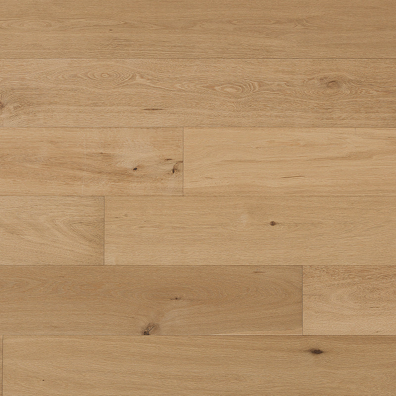 Cosmopolitan | Naked | European Oak