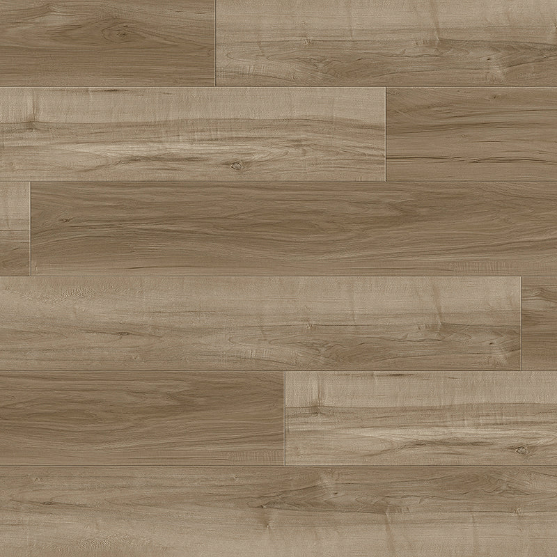 Journey | Brown Sugar | Maple