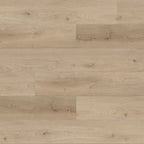 Journey | California Dreamin' | Oak