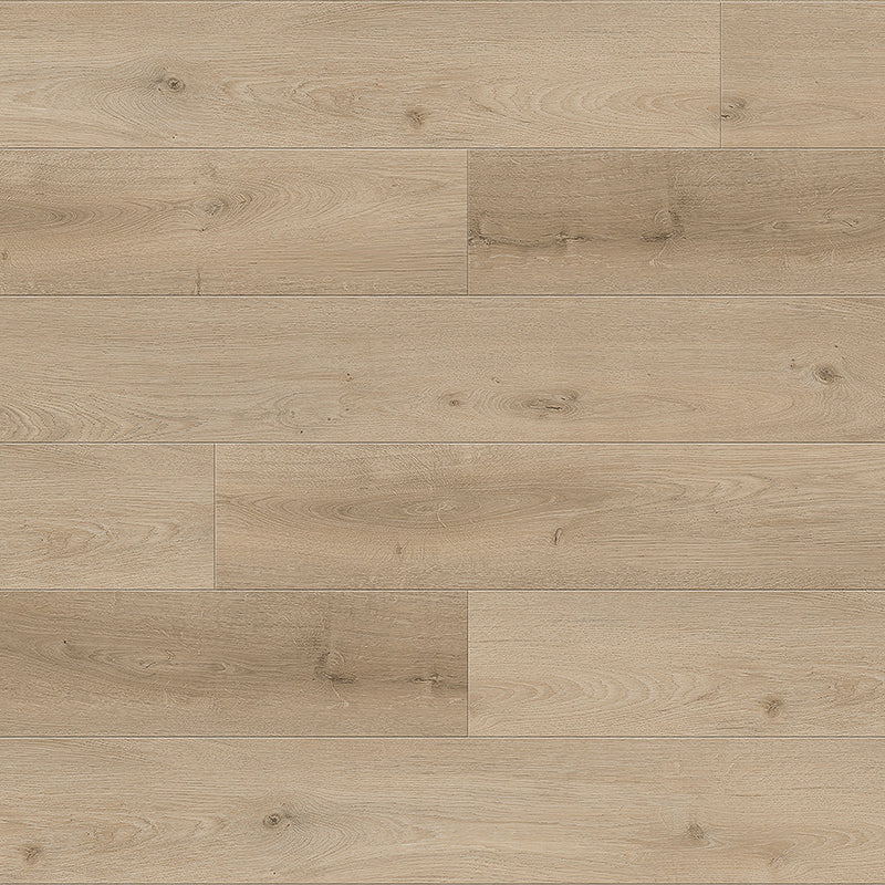 Journey | California Dreamin' | Oak