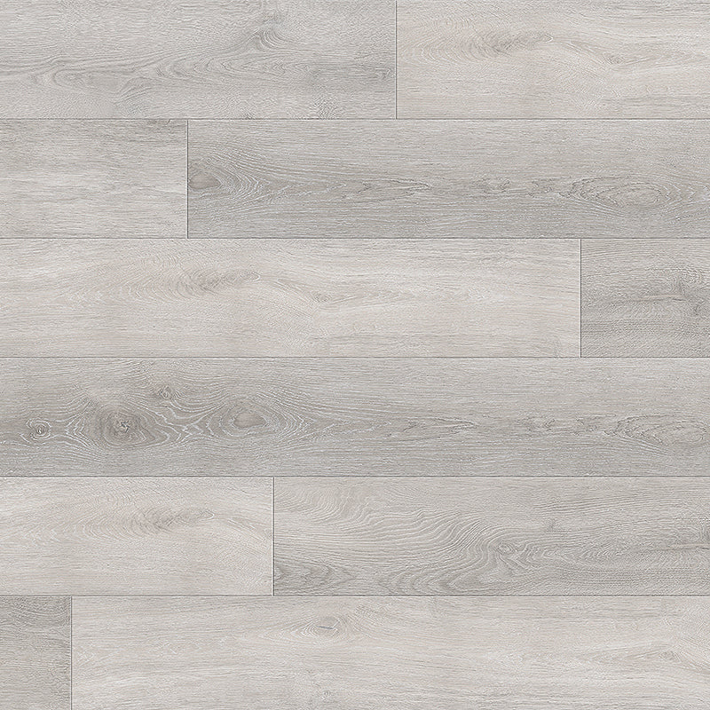 Journey | Moondance | Oak
