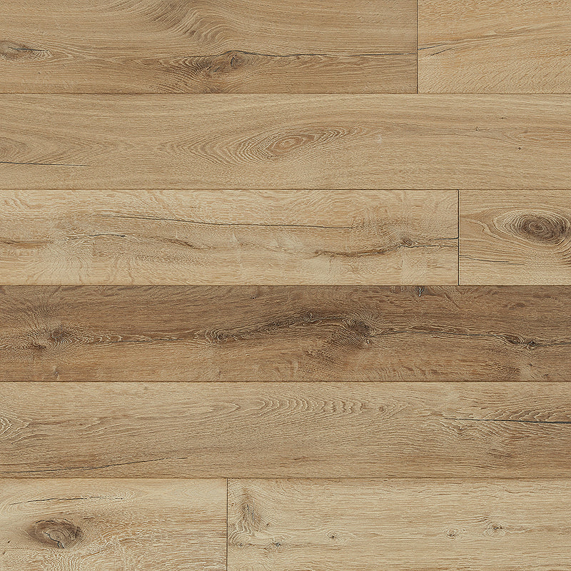 Louis XIV | Champagne | French White Oak