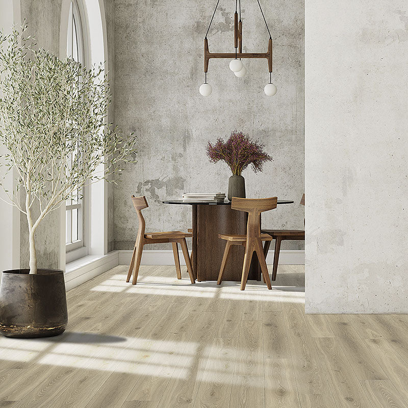 Maestro | Cadenza | Oak