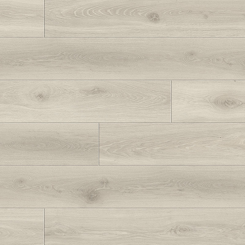 Maestro | Operetta | Oak