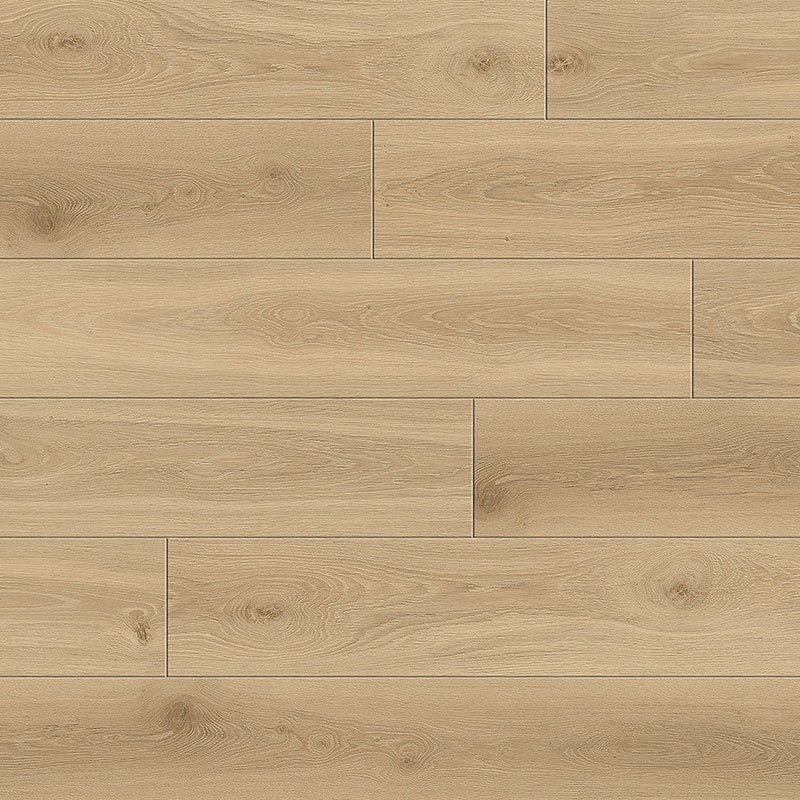 Maestro | Opus | Oak