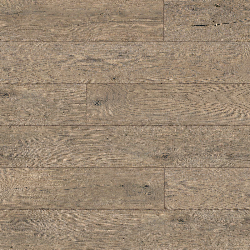 Quest | Willow XL | Oak