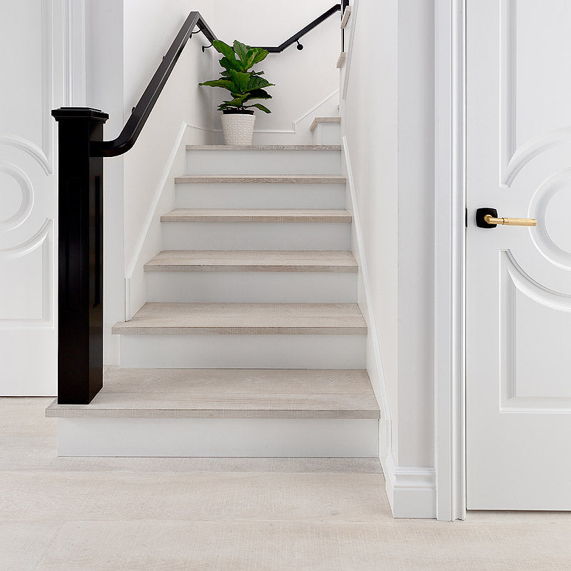 Cosmopolitan | Rome | European Oak