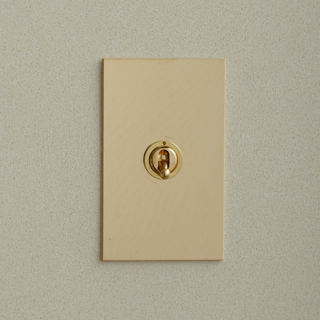 Forbes & Lomax Unlacquered Brass Toggle Switch, 1 Gang