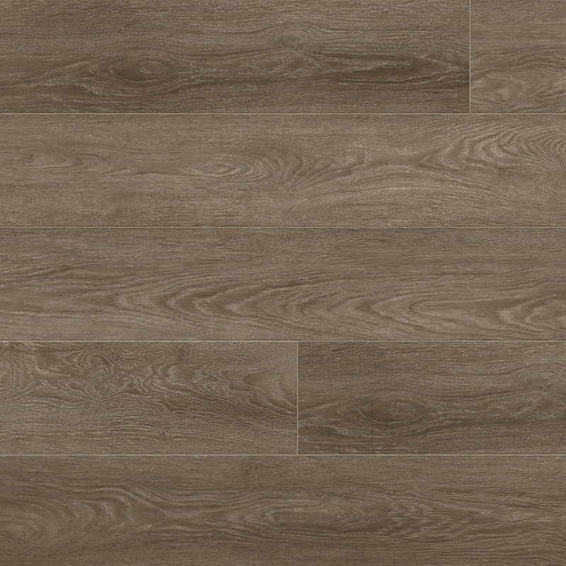 Voyage II | High Noon | Oak