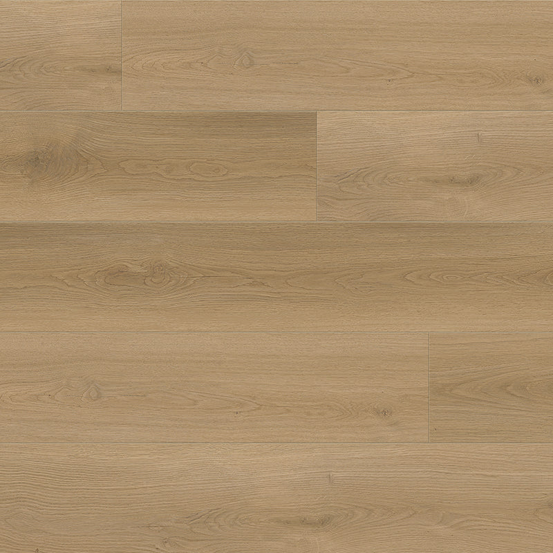 Voyage II | Memento | Oak