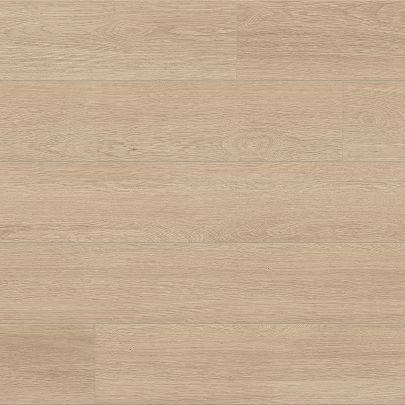 Voyage II | Wanderer | Oak