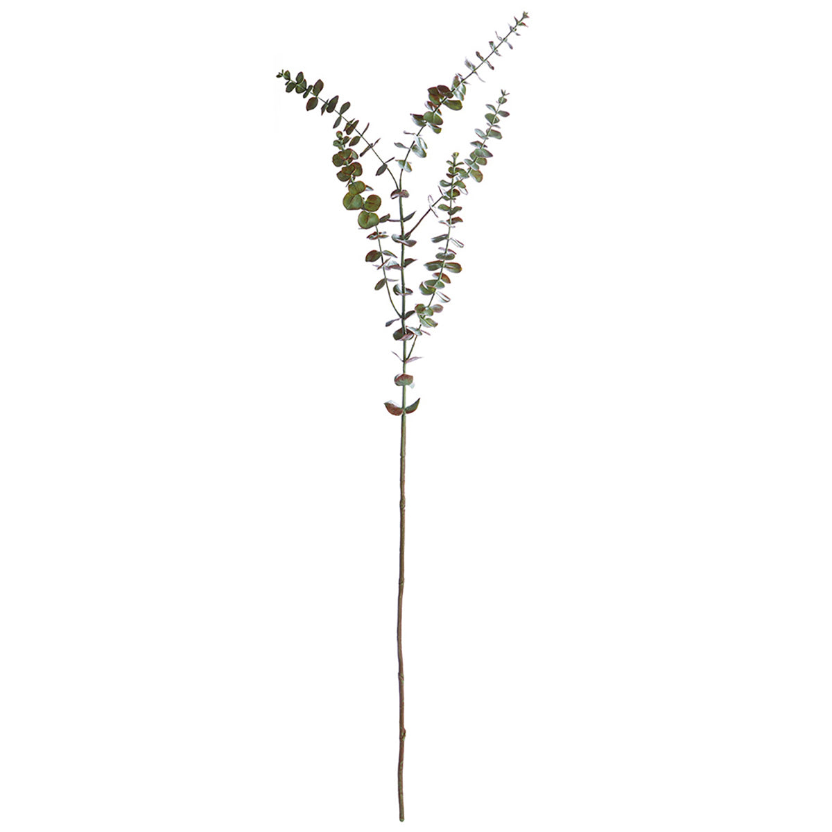 44" Eucalyptus Branch