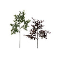 Eucalyptus Leaf Stem Set of 2
