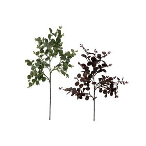 Eucalyptus Leaf Stem Set of 2