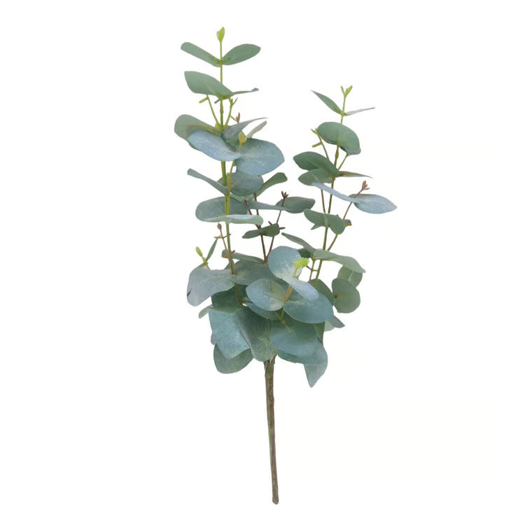 Eucalyptus Spray