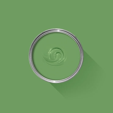 Raw Tomatillo