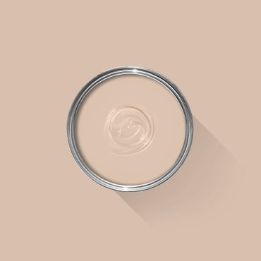 Setting Plaster