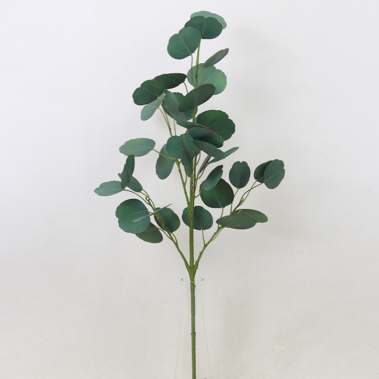 Silver Dollar Eucalyptus Spray
